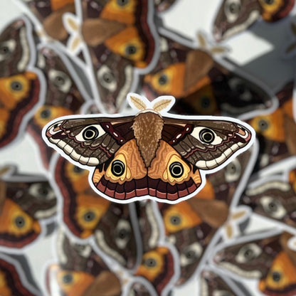 Moth Sticker