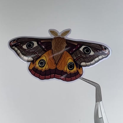 Moth Sticker